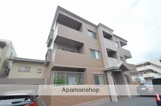 プリムローズの画像