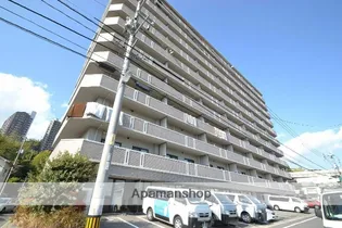 ロイヤル竜王の画像