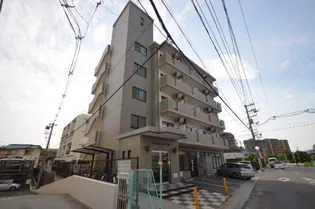 プーテゥジュール5番街の画像