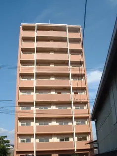 セレッソイシダの画像