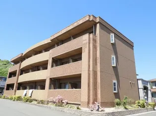 カレント タウニーの画像