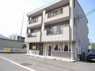 コンフォートTの画像