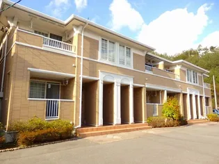 ペアセロベEの画像