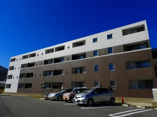 プラシード石屋山の画像