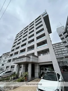 SHETLAND KUSUNOKIの画像