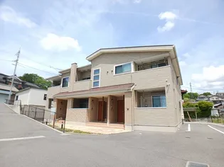 セリシールAの画像