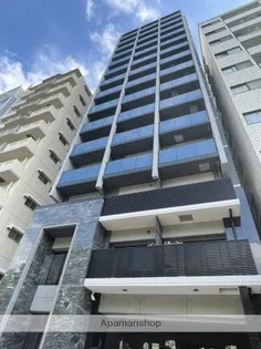 SーRESIDENCE河原町平和大通の画像