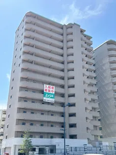 白島城北東亜ビル【14階】の外観