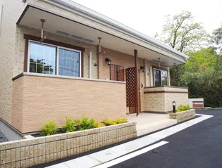 ヴィオラの画像