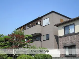 フォブールトロワ向井の画像