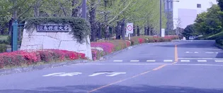 大畠ビル【3階】の周辺