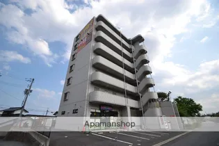 TYTハピネスの画像