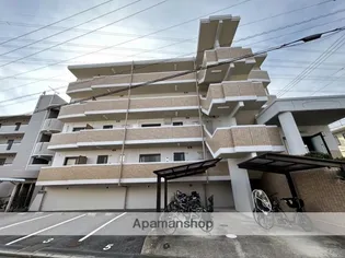 フェリスクラモトの画像