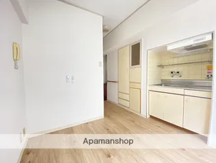 チサンマンション広島【10階】の内装