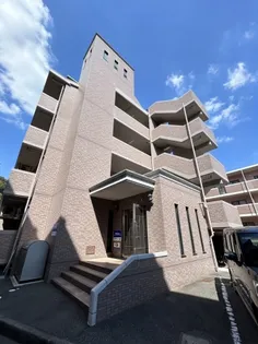 ネッサンスKの画像