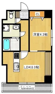 ノーブル平和大通り【8階】の間取り
