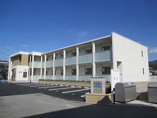 レオネクストカーサカメヤマ【205号室】の外観