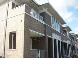 ダンデライオンCの画像