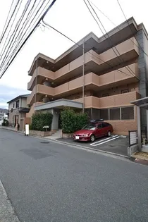 フィオーレ ジュネスの画像