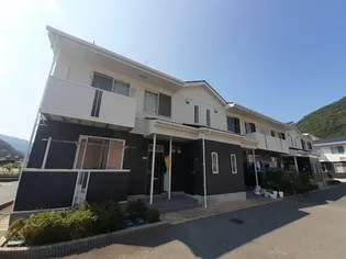 シャルムCの画像