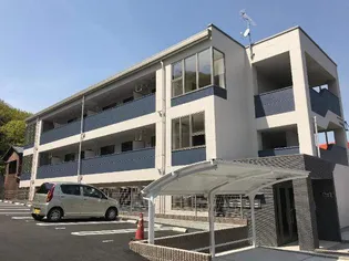 エバーグリーンの画像