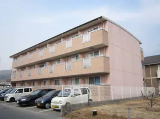 オリエンタルコートの画像