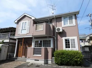 ベテル マリーの画像