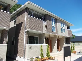 アプリコット Cの画像