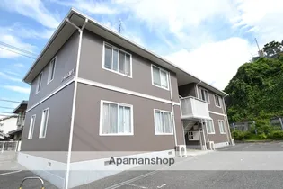 シャルムM Yの画像