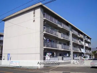 三和コーポ【301号室】の外観