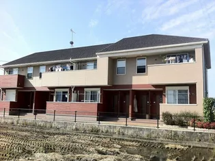 チェリー ブラッサムズの画像