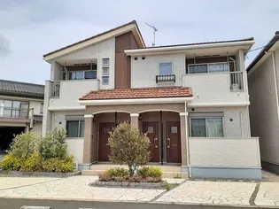 スザンヌ ラングランBの画像