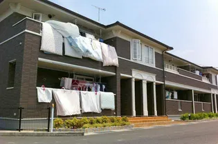 ナチュラルM Aの画像