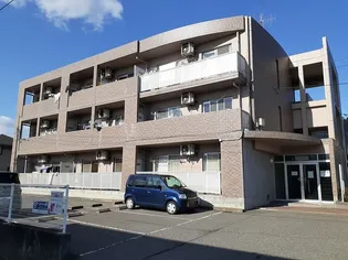 ミレニアム アリュールの画像