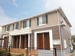 クリザンテームの画像