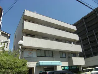 T Y MOTOYAの画像