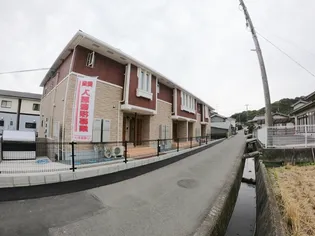 リコリスの画像