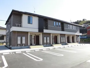 フィデールAの画像