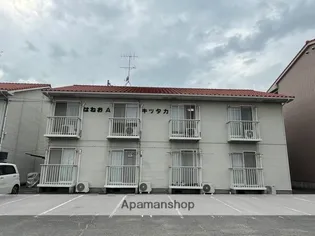 はねおキッタカAの画像