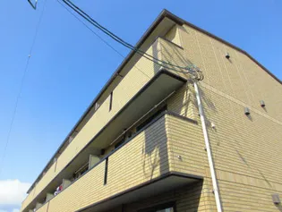 ノール リヴィエール ドゥの画像