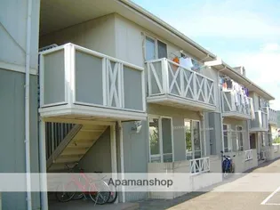 ドルフィンの画像