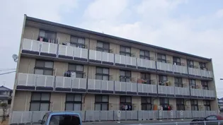 レオパレスピースフル 稲月【202号室】の外観