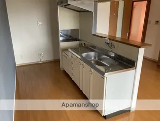 BIOS新涯マンション【4階】のキッチン