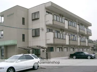 グレイスランドの画像