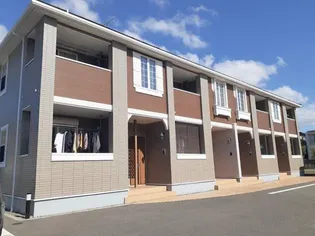 セイバリーYの画像