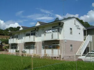 ニューシティ コスモスの画像