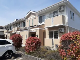 ボナールAの画像