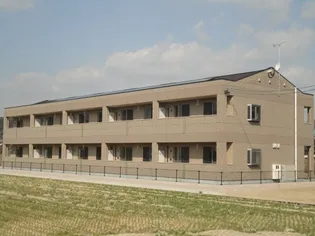 プリマヴェーラの画像