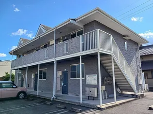 つきみそうの画像