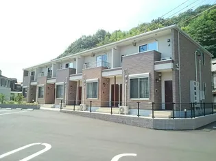 コットン フィールドの画像